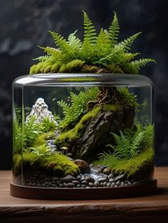 a glass container filled with plants and rocks