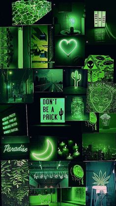 a collage of photos with neon lights and plants in the middle one has a don't be a prick sign on it