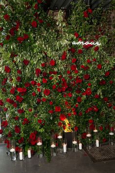 roses and candles are arranged in rows on the floor next to each other, surrounded by greenery