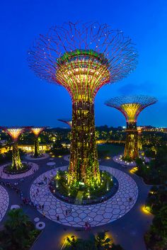 an aerial view of gardens by the bay in singapore at night with text overlay that reads where to go in singapore