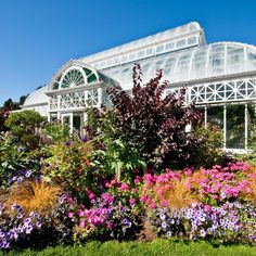 a garden with flowers and plants in front of a glass house