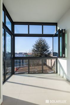 an empty room with lots of windows and a tree in the window sill on the far wall