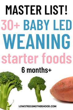 baby led weaning starter foods list with broccoli and potatoes