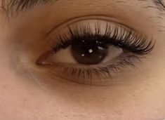 Long Curly Eyelashes Natural, Individual Lashes Styles Natural, Natural Looking Eyelashes Extensions, Eye Lash Extensions For Round Eyes, Natural Lash Extensions Classic Short, Natural Lash Extensions Short, Natural Thick Lashes, Classic Natural Eyelash Extensions Short, Hybrid Lash Extensions Styles Natural