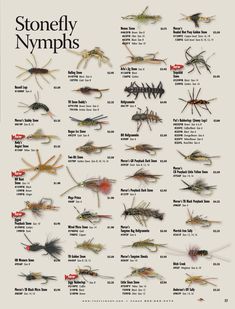 a poster with many different types of flies