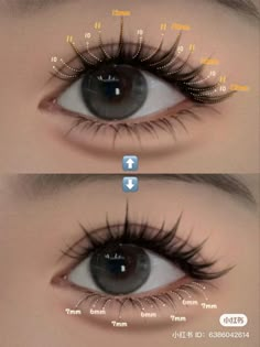 Korean Lashes, Douyin Beauty, Marcille Donato, Forklift Certified, Lash Maps, Lashes Extensions