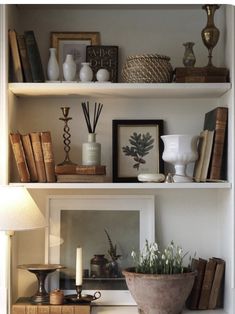 a shelf with books, plants and pictures on it