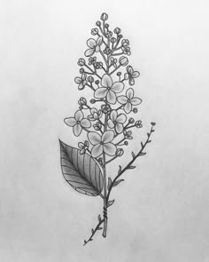 a drawing of a flower with leaves on it