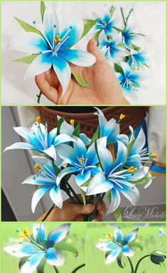 three pictures of blue and white flowers being held by someone's hand