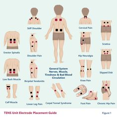 Lower Leg Pain, Cervical Pain, Muscle Knots