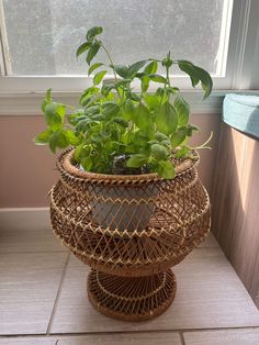 a potted plant in a wicker basket on the floor next to a window