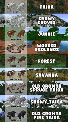 Minecraft Cats Types, New Minecraft Wolves, Minecraft Dog Breeds, Minecraft Cool Building Ideas, Minecraft Wolf Variants, Minecraft Ideas To Build, Cool Minecraft Ideas, Minecraft Biomes, Minecraft Guides