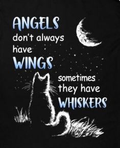 a black t - shirt with an image of a cat and the words angels don't always have wings sometimes they have whiskers