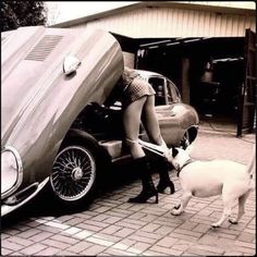 a woman in short shorts and high heeled boots is petting a dog next to a car