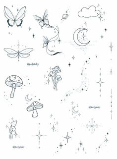 an ink drawing of different types of insects and stars