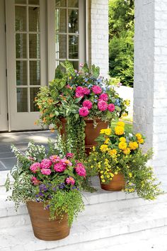 three potted plants are sitting on the front steps with flowers growing out of them