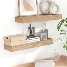 two wooden shelves with items on them and a potted plant in the corner next to it