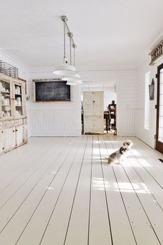 a dog is sitting on the floor in an empty room with white walls and wood floors