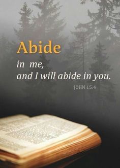 an open book with the words abide in me, and i will abide in you