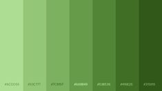 a green color scheme with different shades