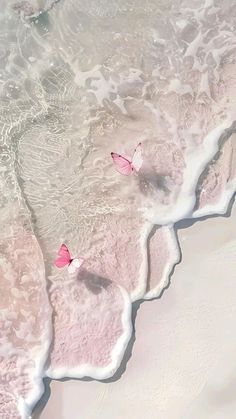 two pink butterflies flying over the water at the edge of an ocean beach with foamy waves