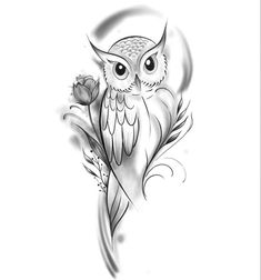 an owl sitting on top of a branch with a flower in it's beak