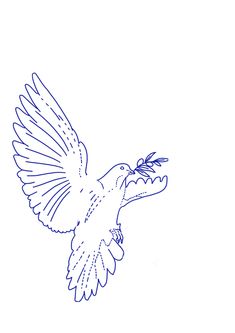 a drawing of a bird flying with an insect in it's beak