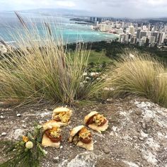 some food is sitting on top of a hill near the ocean and cityscape