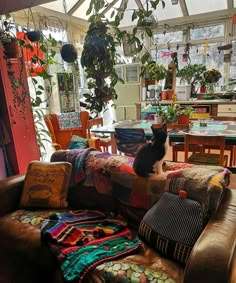 a cat sitting on the back of a couch in a room with lots of plants