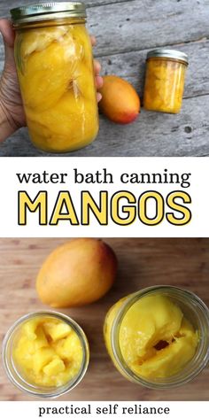 mangoes in jars with text overlay that reads water bath canning mangos practical self reliance