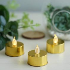 three gold candles sitting on top of a white table next to a potted plant