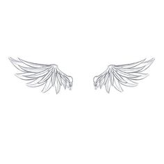 two white wings are shown on a white background, one is drawn in pencil and the other is drawn with black ink