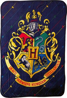 the hogwarts house flag is displayed on a white background with multicolored lines