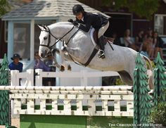 a person riding on the back of a white horse jumping over an obstacle in front of a crowd