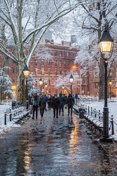 people walking in the snow with umbrellas