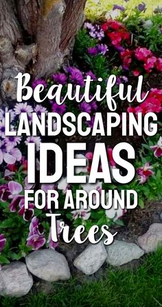 beautiful landscaping ideas for around trees