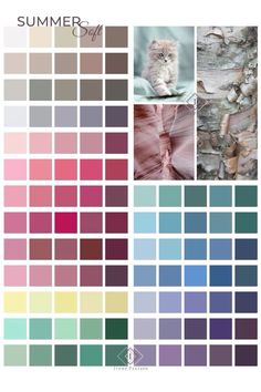 the color scheme for summer is shown in shades of pink, blue and green with an owl