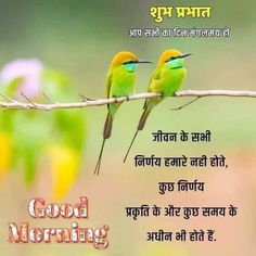 two birds are sitting on a branch with the words good morning in english and hindi