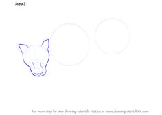 how to draw the head of a dog