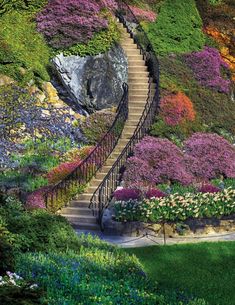 a staircase is surrounded by colorful flowers and greenery on the side of a hill