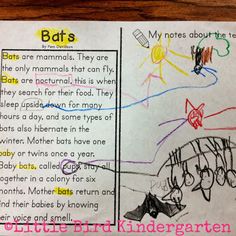 a page from a children's book about bats and other things that are drawn on paper