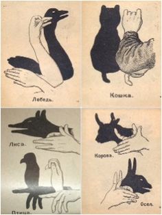 four different types of cats and dogs with their tails curled up in the shape of hands