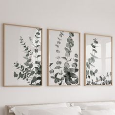 three framed pictures hanging on the wall above a bed