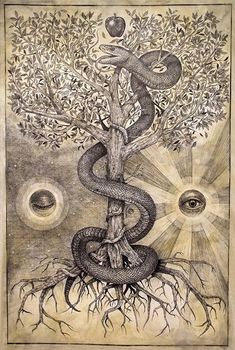 a drawing of a tree with an evil snake on it's trunk and the sun above