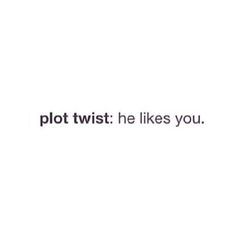 the words plot twist he likes you