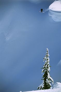 a person skiing down a snowy hill with trees in the foreground and blue sky above