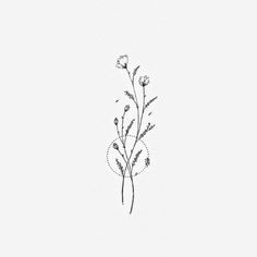 a black and white drawing of some flowers