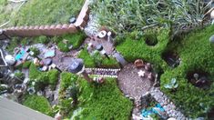 an aerial view of a miniature garden with rocks and plants in the middle, surrounded by green grass