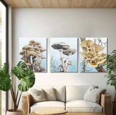 Mushroom Wall Art Botanical Wall Decor Nature Home Decor Cottagecore Triptych Canvas Print Set Woodland Fungi Gift Science Room Art Decor - Etsy Cottagecore Bedrooms, Fungi Illustration, Mushroom Wall Art, Room Art Decor, Science Room, Nature Home Decor, Nature Home, Botanical Wall Decor, Wall Art Botanical