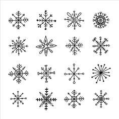 twelve snowflakes are shown in black and white